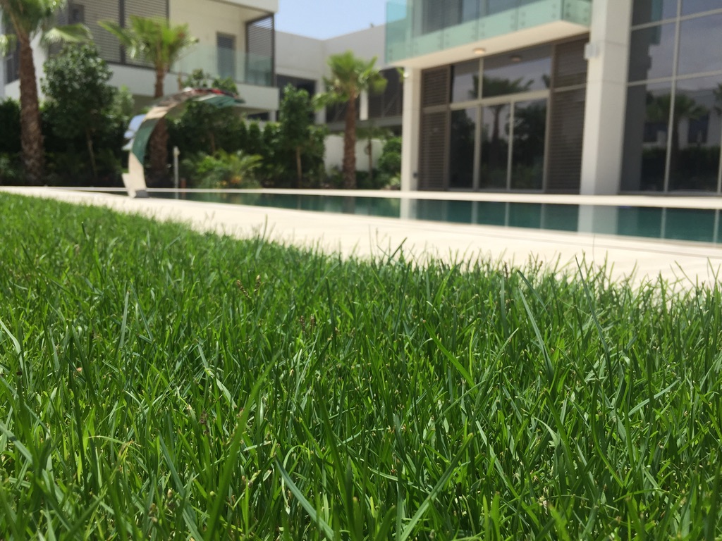 Luxury Overflow Mirror Pool with Bali Tiles | District One Dubai