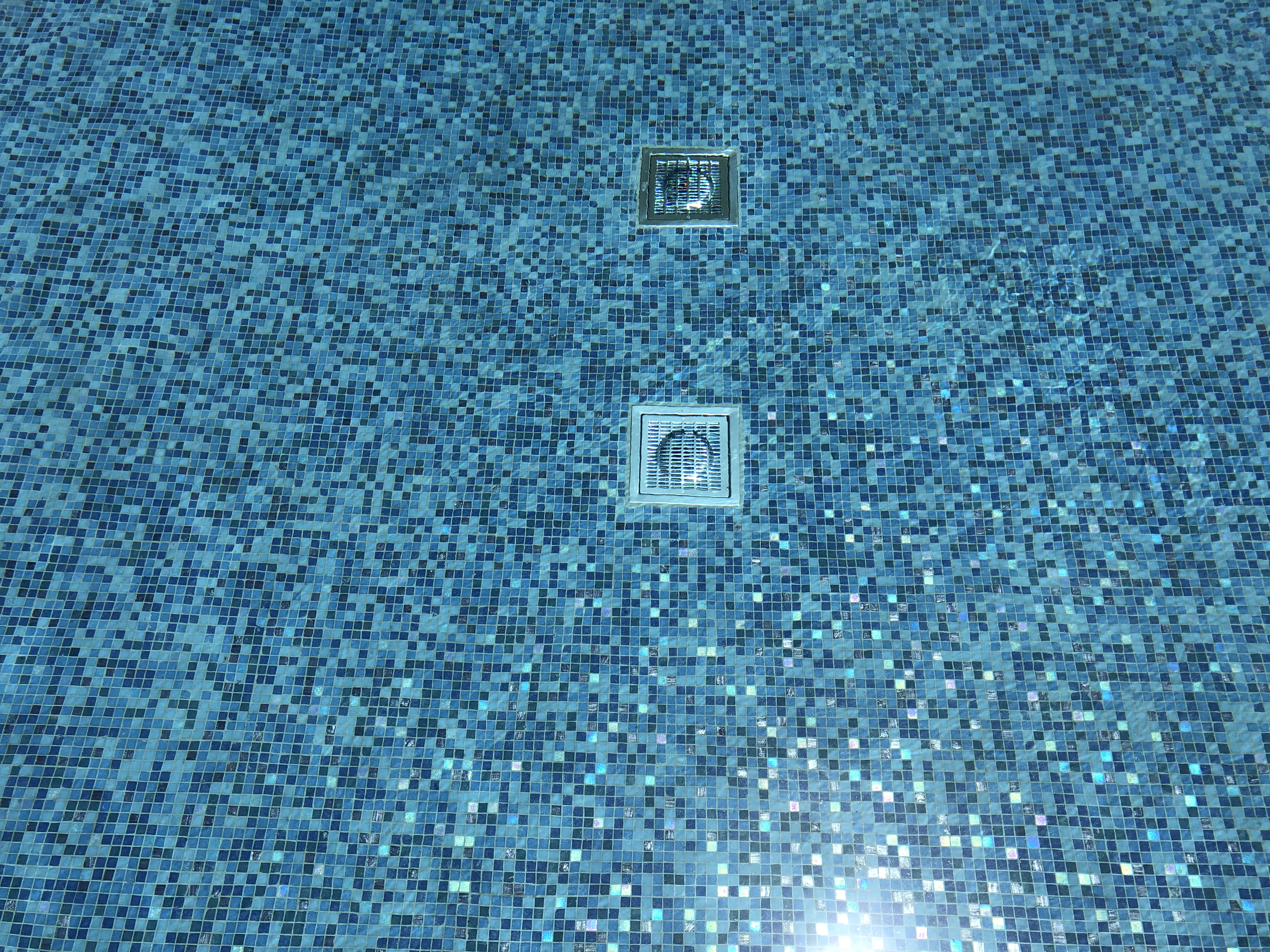 Skimmer Pool