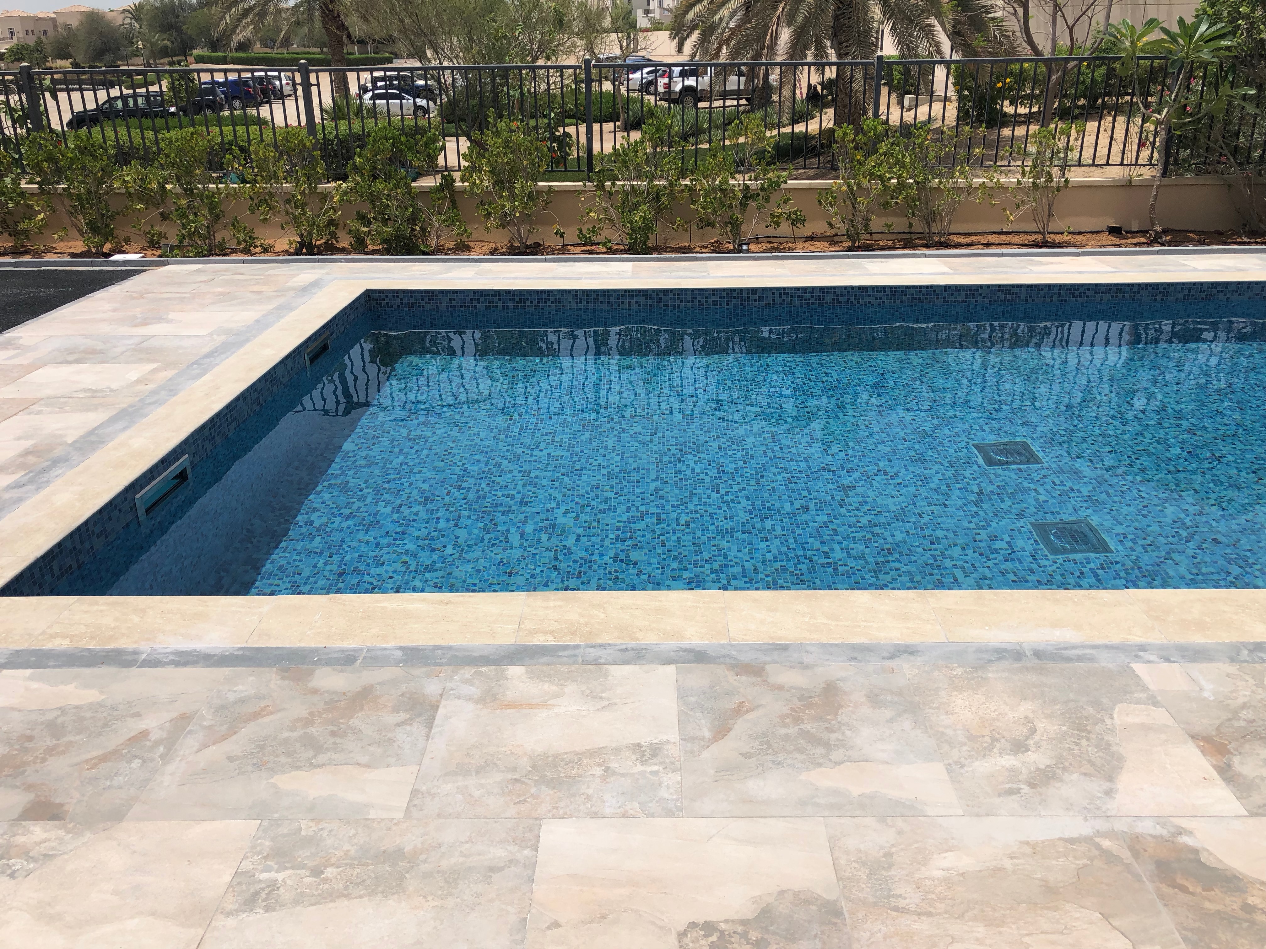 Skimmer Pool