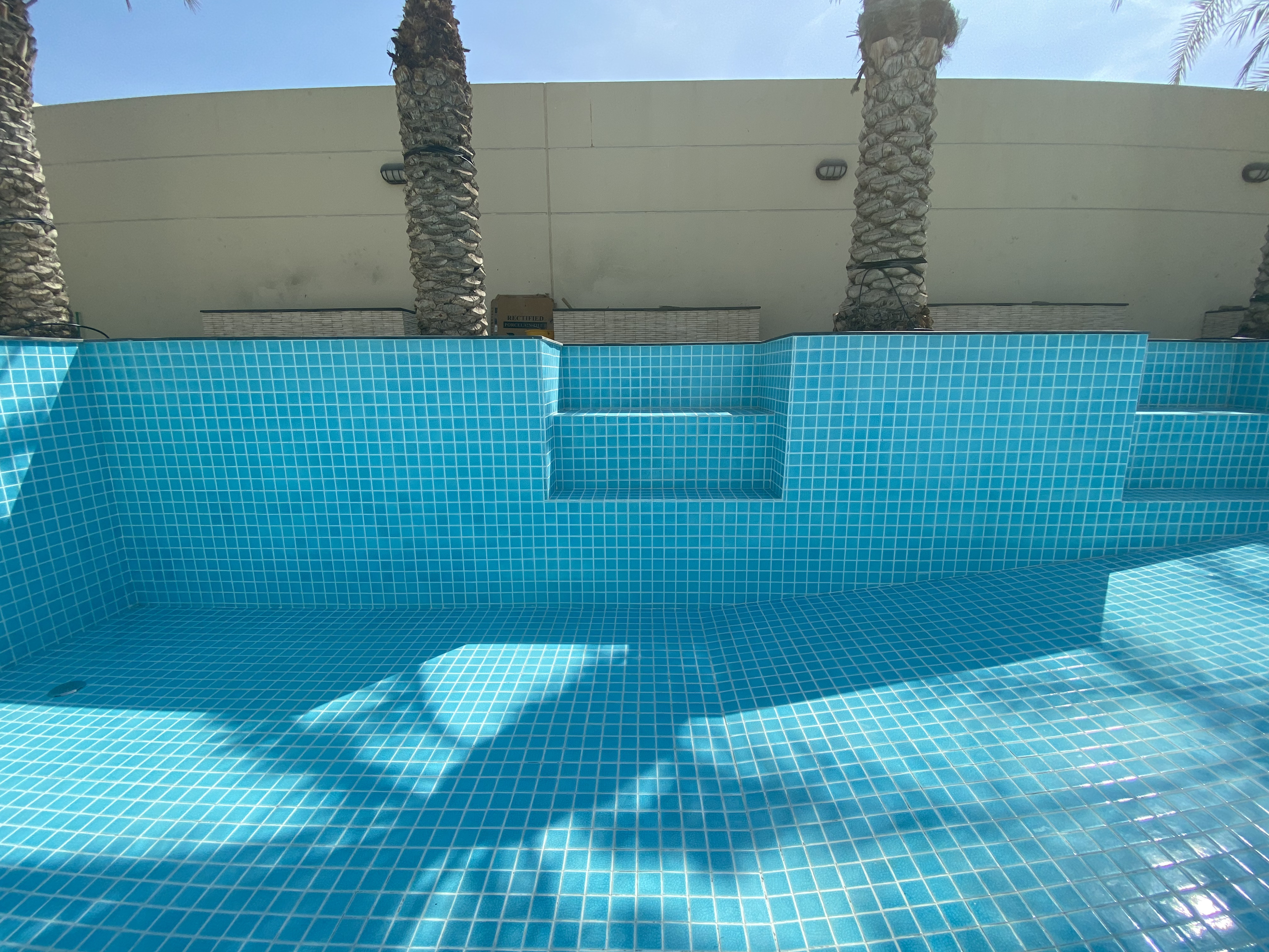 Skimmer Pool