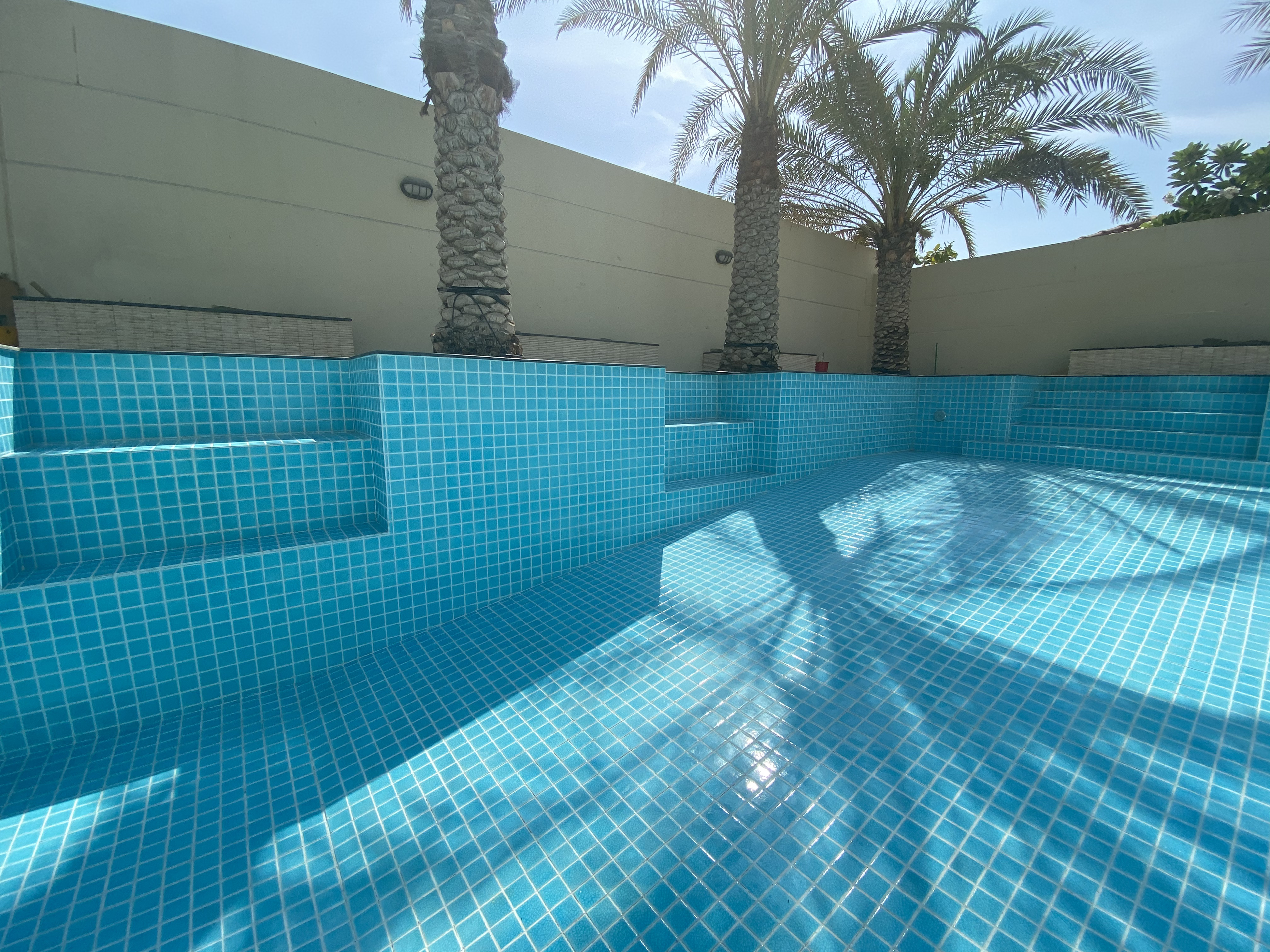 Skimmer Pool