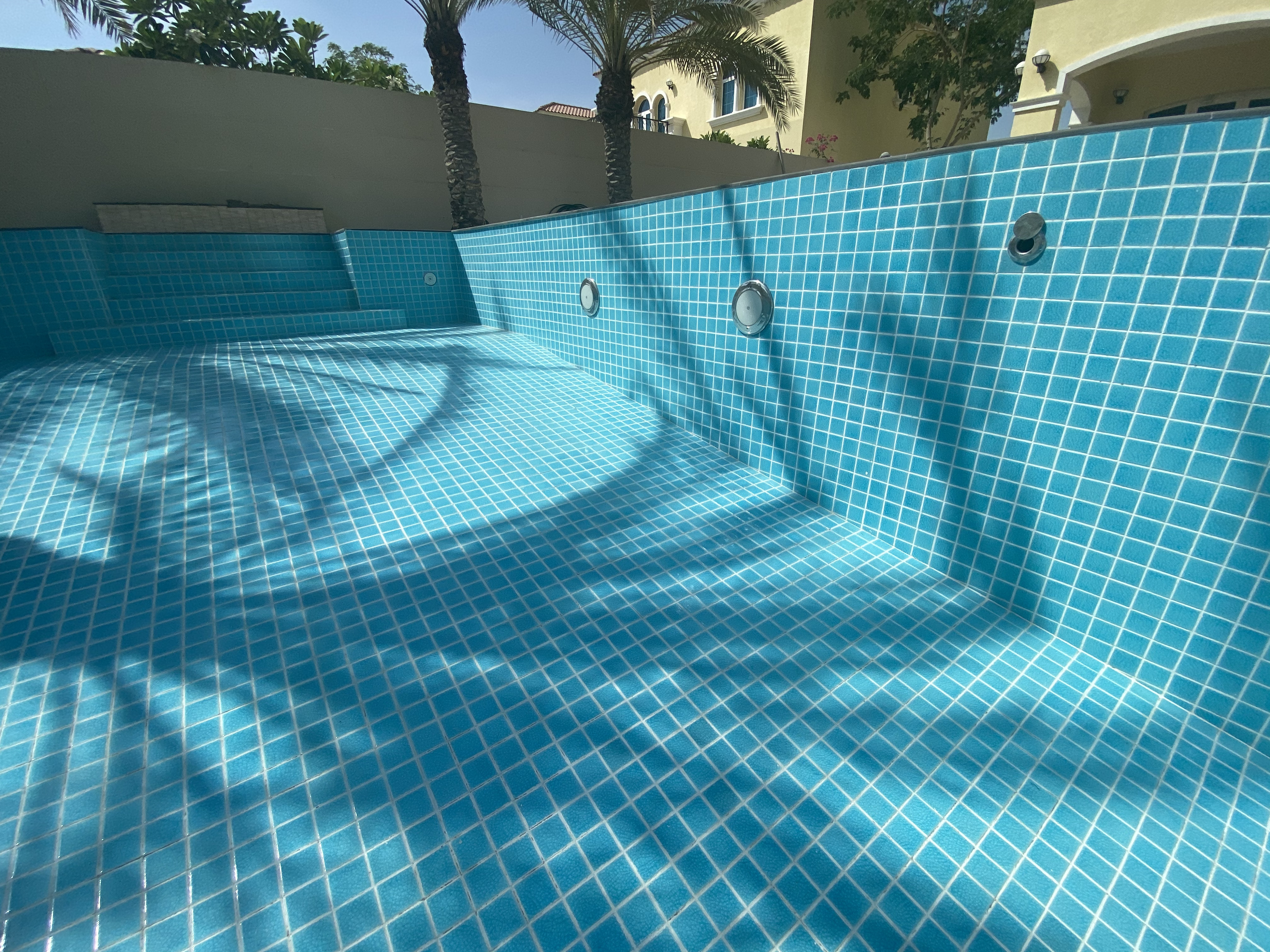 Skimmer Pool