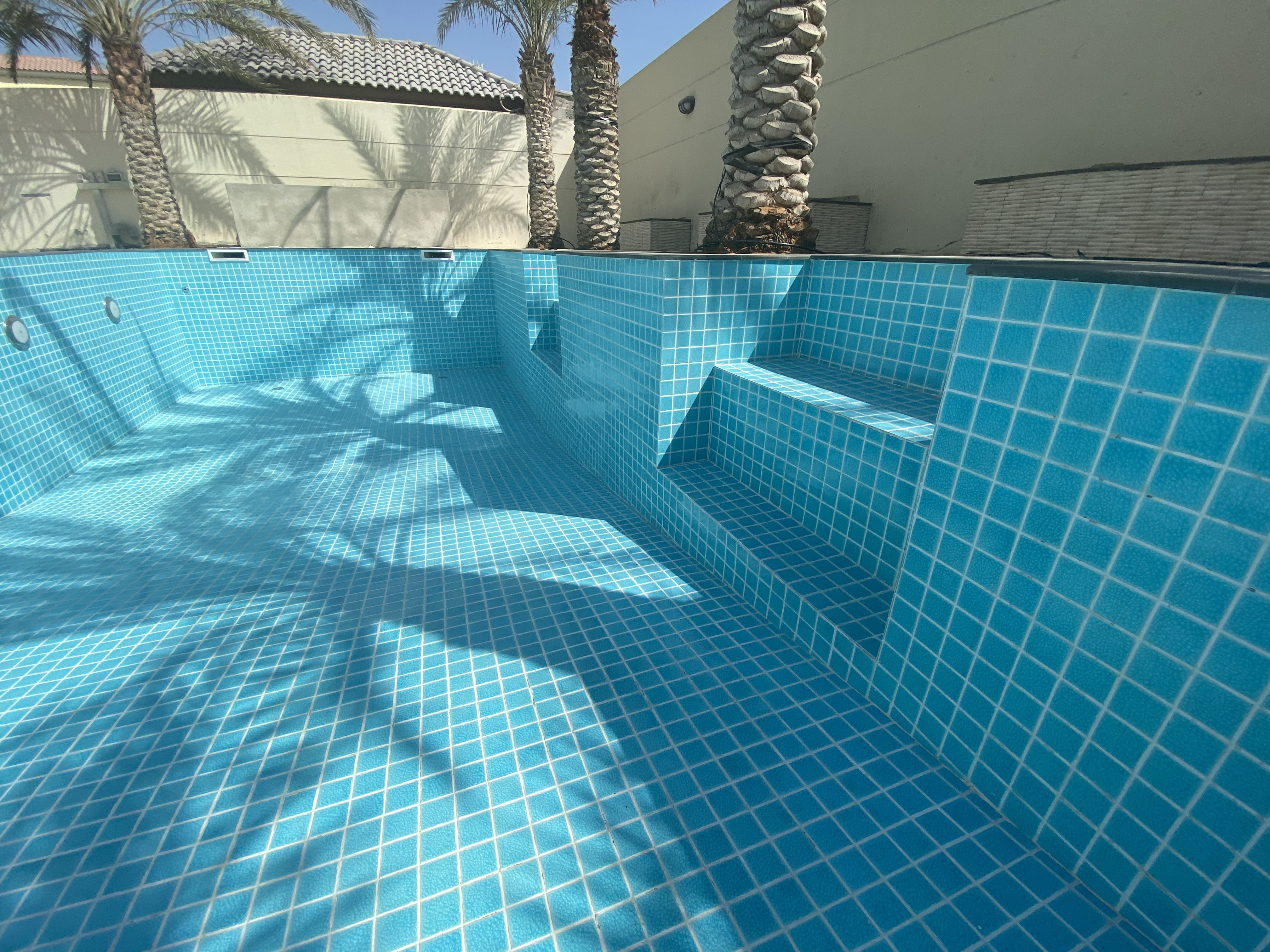 Skimmer Pool
