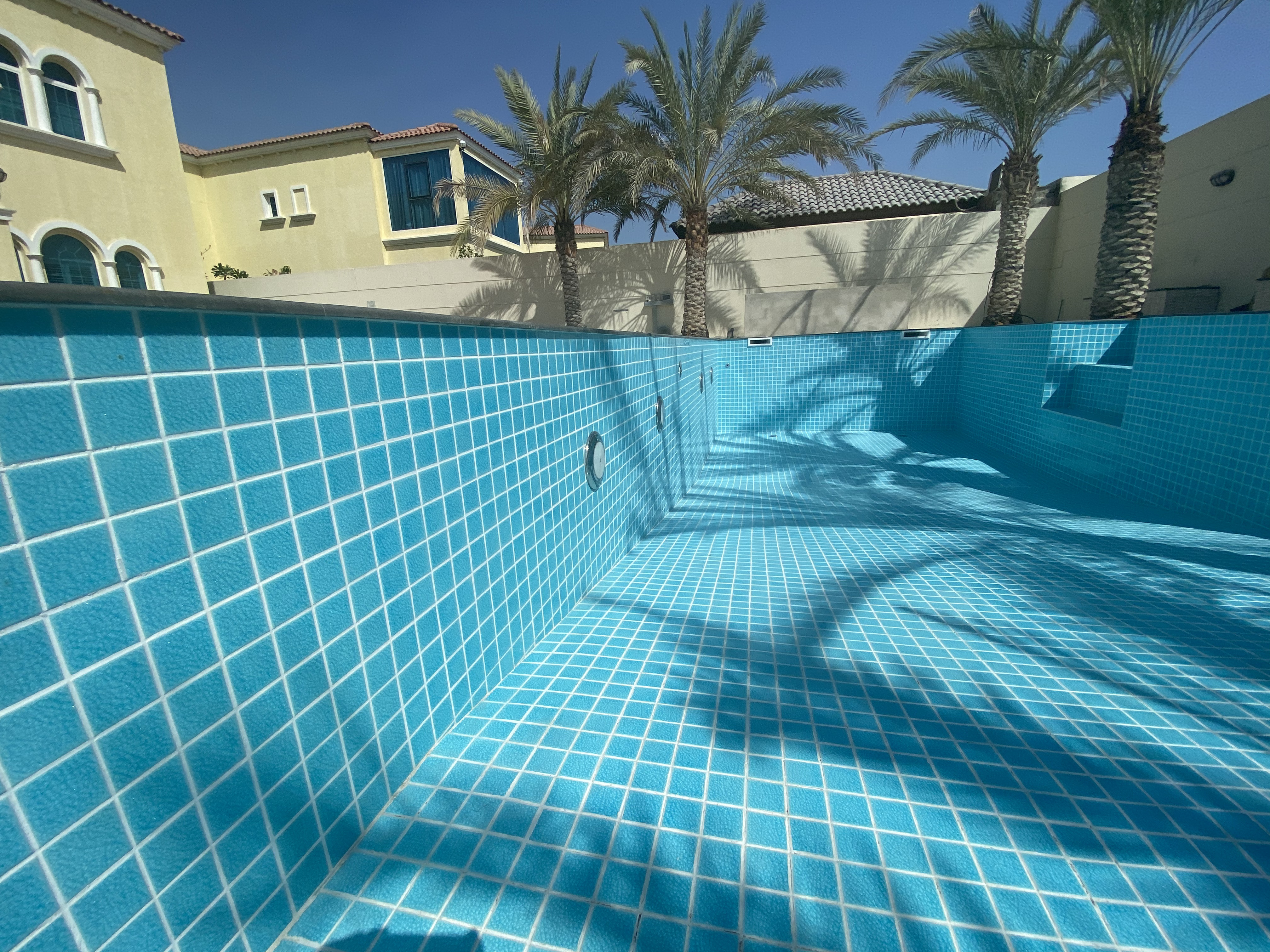 Skimmer Pool